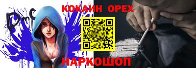 шишки Камышлов