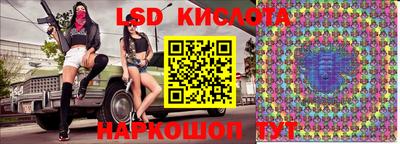 шишки Камышлов