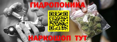 шишки Камышлов