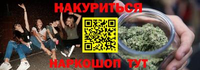 шишки Камышлов