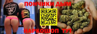 шишки Камышлов