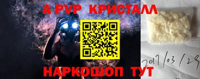 шишки Камышлов