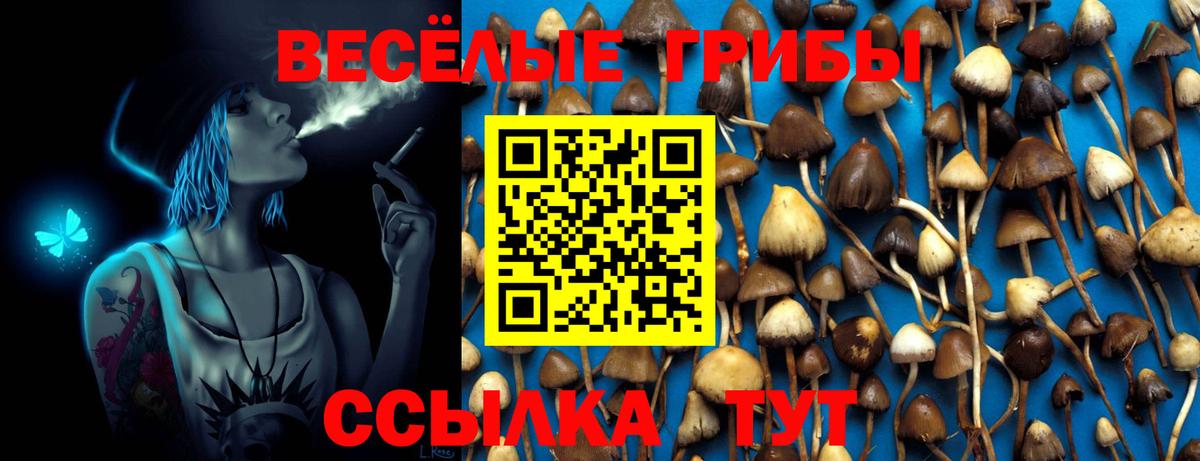 Дагестанские Огни  Псилоцибиновые грибы Magic Shrooms  Вход с VPN  Галлюциногенные грибы прущие грибы 