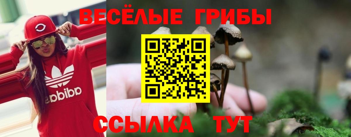 Галлюциногенные грибы Magic Shrooms Дагестанские Огни